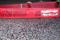 MISCELLANEOUS EMBROIDERY