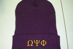 Sororities / Fraternities