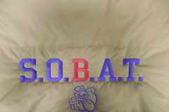 Sororities / Fraternities