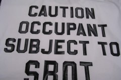 Vinyl Lettering