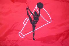 Team Sports Embroidery