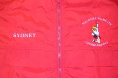 Team Sports Embroidery