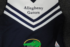 Team Sports Embroidery
