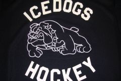 Team Sports Embroidery
